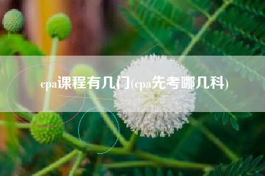 cpa课程有几门(cpa先考哪几科)