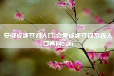 安徽成绩查询入口(会考成绩查询系统入口官网2020)