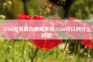 12366发票真伪查询系统(12366可以问什么问题)
