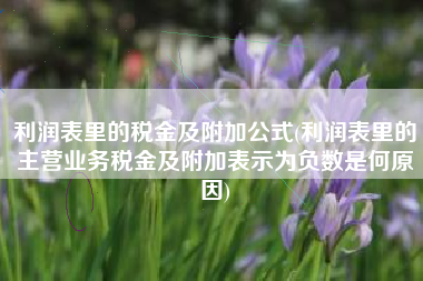 利润表里的税金及附加公式(利润表里的主营业务税金及附加表示为负数是何原因)