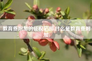 教育费附加的征税范围(什么是教育费附加)