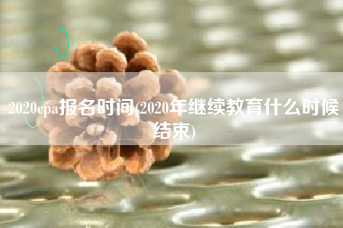 2020cpa报名时间(2020年继续教育什么时候结束)