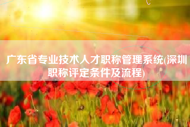 广东省专业技术人才职称管理系统(深圳职称评定条件及流程)