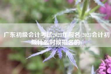 广东初级会计考试2023年报名(2023会计初级什么时候报名的)