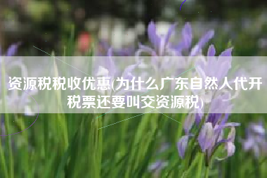 详细阅读:资源税税收优惠(为什么广东自然人代开税票还要叫交资源税) 资源税税收优惠(为什么广东自然人代开税票还要叫交资源税)