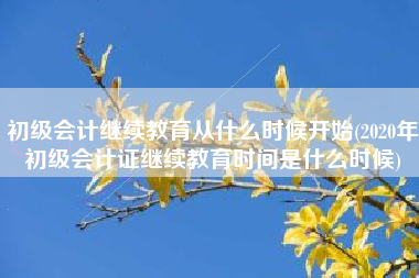 详细阅读:初级会计继续教育从什么时候开始(2020年初级会计证继续教育时间是什么时候) 初级会计继续教育从什么时候开始(2020年初级会计证继续教育时间是什么时候)