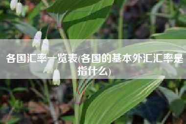 各国汇率一览表(各国的基本外汇汇率是指什么)