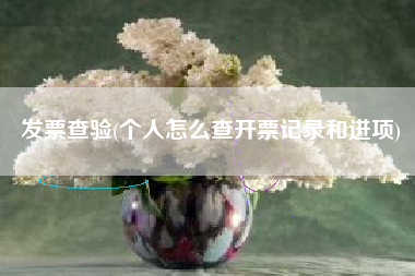 发票查验(个人怎么查开票记录和进项)