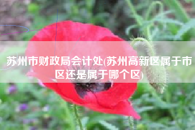 苏州市财政局会计处(苏州高新区属于市区还是属于哪个区)