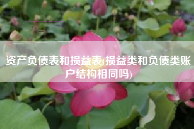 资产负债表和损益表(损益类和负债类账户结构相同吗)