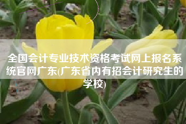 全国会计专业技术资格考试网上报名系统官网广东(广东省内有招会计研究生的学校)