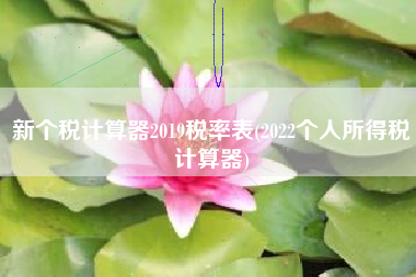 新个税计算器2019税率表(2022个人所得税计算器)