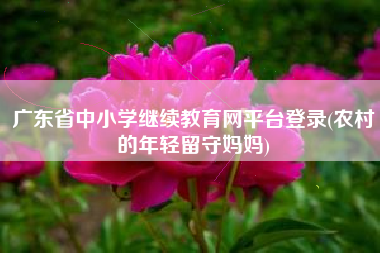 广东省中小学继续教育网平台登录(农村的年轻留守妈妈)
