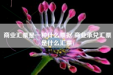 商业汇票是一种什么票据(商业承兑汇票是什么汇票)