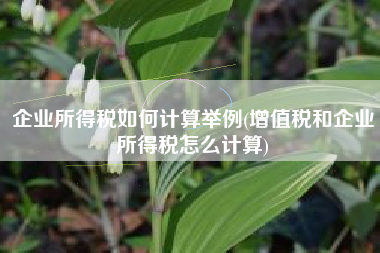 企业所得税如何计算举例(增值税和企业所得税怎么计算)