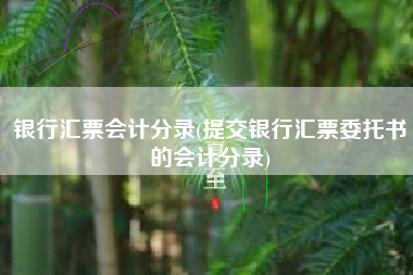 银行汇票会计分录(提交银行汇票委托书的会计分录)