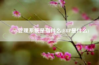 erp管理系统是指什么(ERP是什么)
