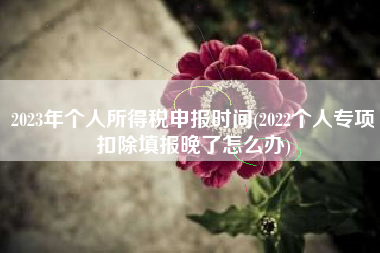 2023年个人所得税申报时间(2022个人专项扣除填报晚了怎么办)
