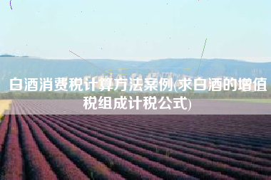白酒消费税计算方法案例(求白酒的增值税组成计税公式)