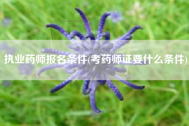 执业药师报名条件(考药师证要什么条件)