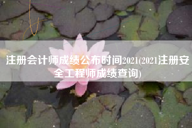 注册会计师成绩公布时间2021(2021注册安全工程师成绩查询)