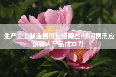 生产企业制造费用包括哪些(期间费用应该计入产品成本吗)