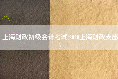 上海财政初级会计考试(2020上海财政支出)