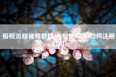 报税流程视频教程 一般纳税人(如何注册公司)