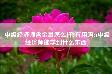 中级经济师含金量怎么样?有用吗?(中级经济师能学到什么东西)