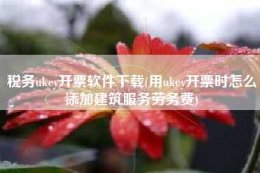 税务ukey开票软件下载(用ukey开票时怎么添加建筑服务劳务费)