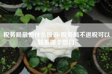 税务局最怕什么投诉(税务局不退税可以联系哪个部门)