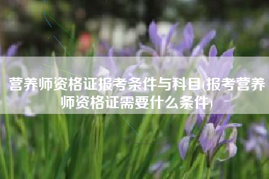 营养师资格证报考条件与科目(报考营养师资格证需要什么条件)