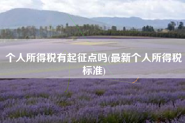 个人所得税有起征点吗(最新个人所得税标准)