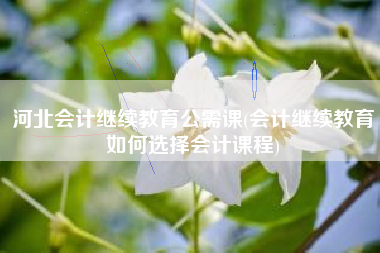 河北会计继续教育公需课(会计继续教育如何选择会计课程)