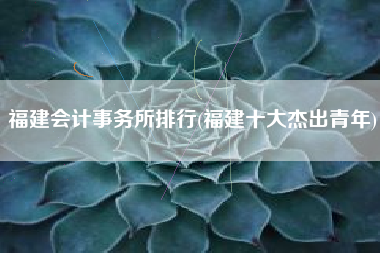 福建会计事务所排行(福建十大杰出青年)