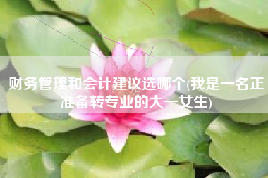 财务管理和会计建议选哪个(我是一名正准备转专业的大一女生)