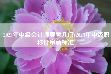 2023年中级会计师要考几门(2023年中级职称评审新标准)
