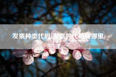 发票种类代码(发票的代码在哪里)