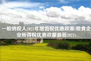 一般纳税人2021年增值税优惠政策(粮食企业所得税优惠政策最新2021)