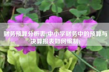 财务预算分析表(中小学财务中的预算与决算报表如何编制)