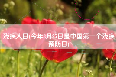 残疾人日(今年8月25日是中国第一个残疾预防日)