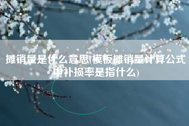 摊销量是什么意思(模板摊销量计算公式中补损率是指什么)