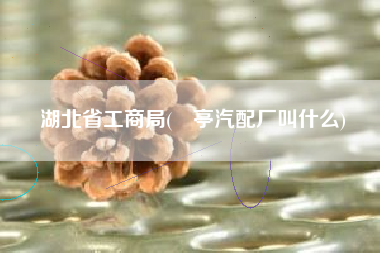 湖北省工商局(猇亭汽配厂叫什么)