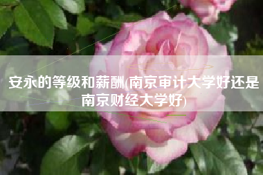 安永的等级和薪酬(南京审计大学好还是南京财经大学好)