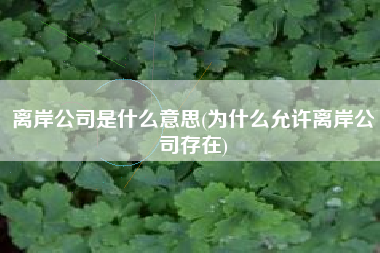 离岸公司是什么意思(为什么允许离岸公司存在)