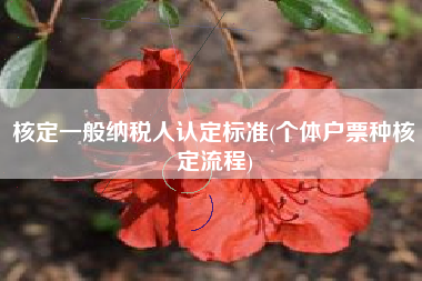 核定一般纳税人认定标准(个体户票种核定流程)