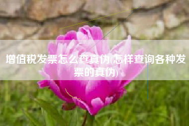 增值税发票怎么查真伪(怎样查询各种发票的真伪)