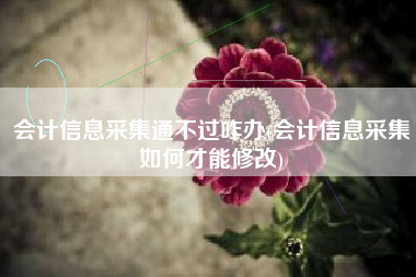 会计信息采集通不过咋办(会计信息采集如何才能修改)