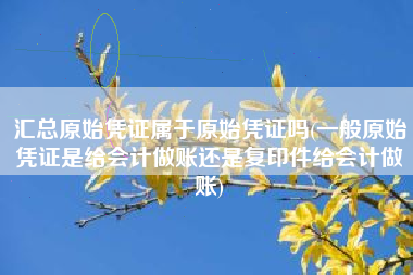 汇总原始凭证属于原始凭证吗(一般原始凭证是给会计做账还是复印件给会计做账)