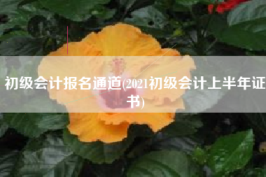 初级会计报名通道(2021初级会计上半年证书)